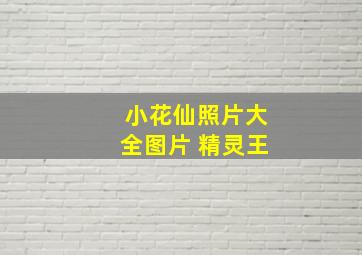 小花仙照片大全图片 精灵王